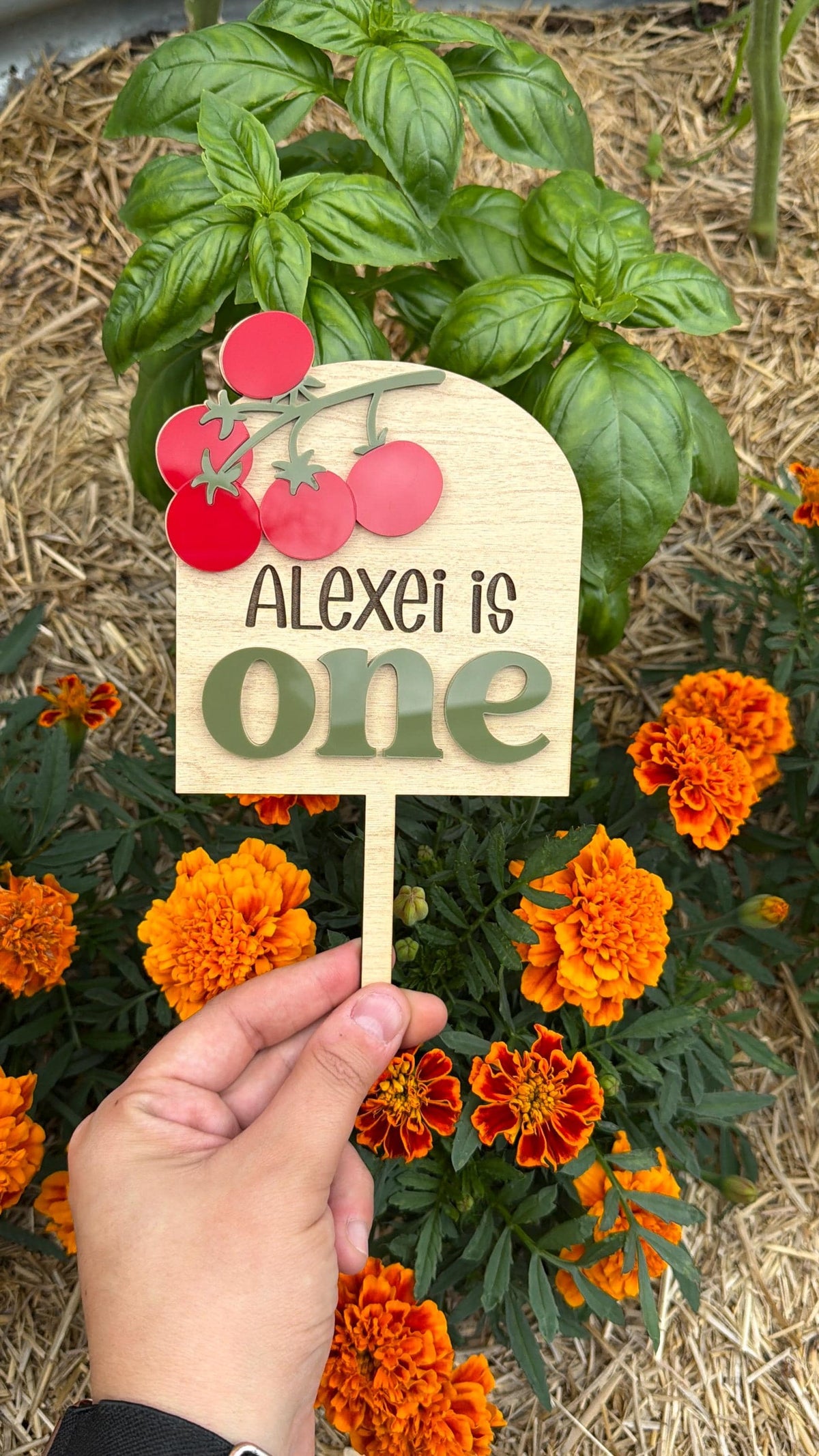 Tomato Birthday Cake Topper: Cherry Tomato Celebration Decor